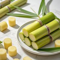 50 Sugar Cane Seeds | High-Yield Sugar Cane Plant | Perfect for Home Gardening