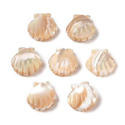 Natural Trochus Shell Carved Beads