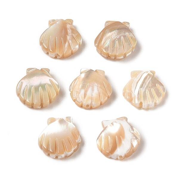 Natural Trochus Shell Carved Beads