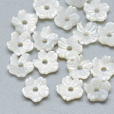Natural White Shell Beads