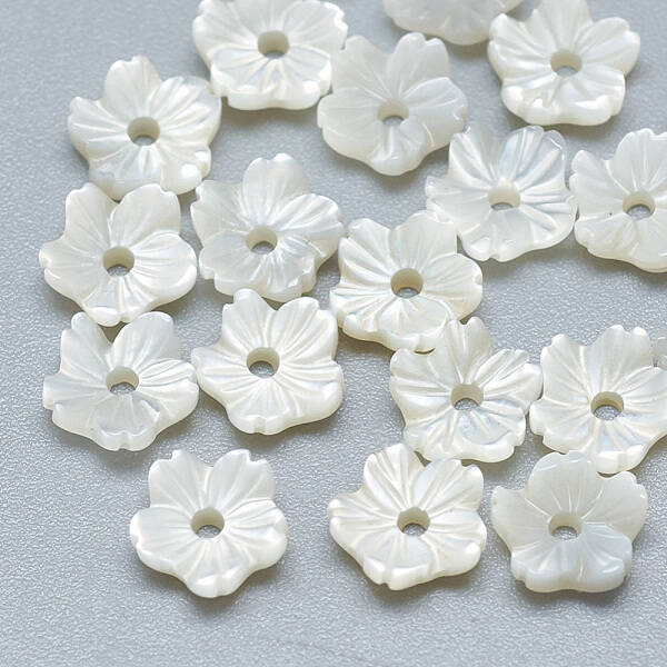 Natural White Shell Beads
