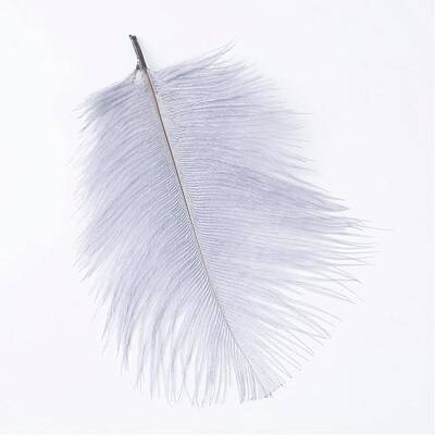 Ostrich Feather Costume Accessories