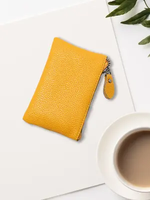 1 Piece Solid Color Small Coin Purse With Zipper, Men & Women's Mini Wallet for Casual Use