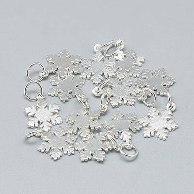 925 Sterling Silver Charms