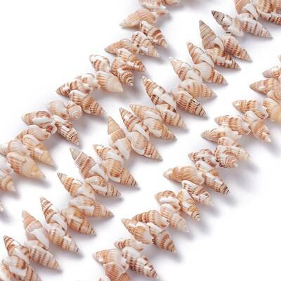 Natural Spiral Shell Beads Strands