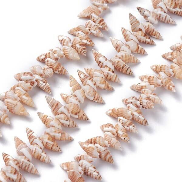 Natural Spiral Shell Beads Strands