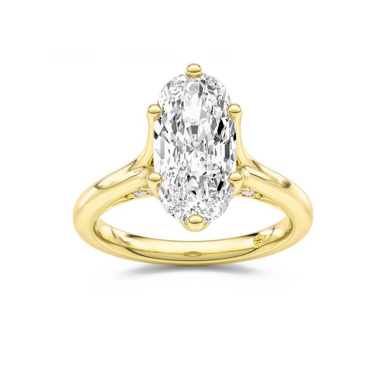 Alina Elongated Cushion Lab Grown Diamond Engagement Ring | 18K Yellow Gold 2 1/2 CT. TW.