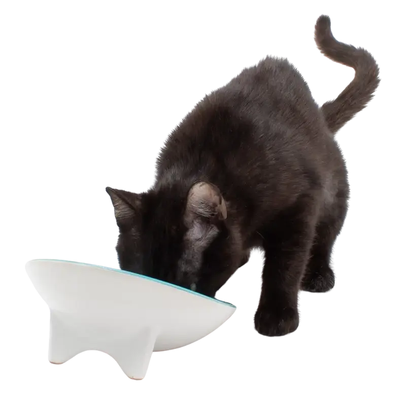 Whiskerware Ceramic Tilted Bowl