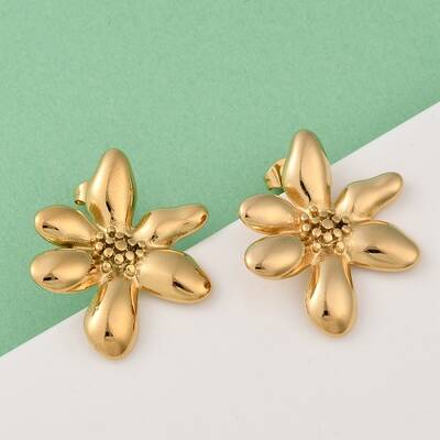 304 Stainless Steel Stud Earrings