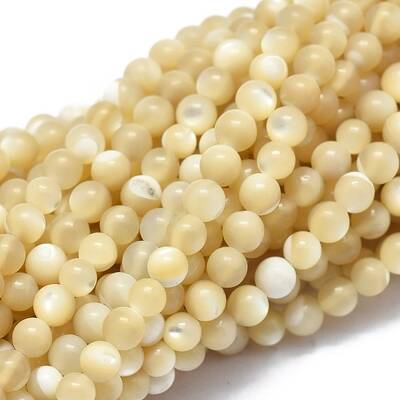 Shell Beads Strands