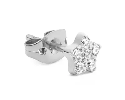Daniel wellington Single earring IN steel star with crystals DW00400874