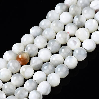 Natural Trochid Shell/Trochus Shell Beads Strands