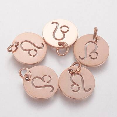 304 Stainless Steel Charms