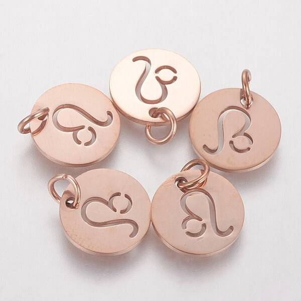 304 Stainless Steel Charms
