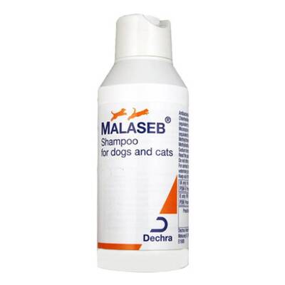 Malaseb Shampoo 250 Ml 1 Pack
