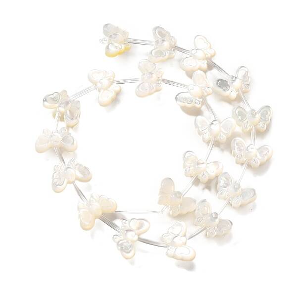 Natural White Shell Beads