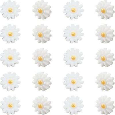 20Pcs Natural Freshwater Shell Beads