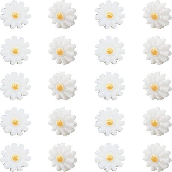 20Pcs Natural Freshwater Shell Beads