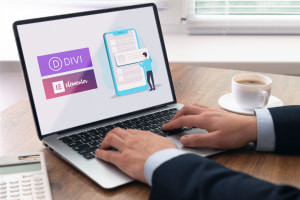 WordPress  Divi and Elementor