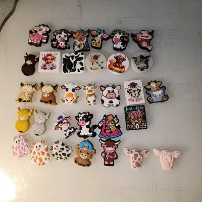 Bulk Purchase of Silicone Focals in Various Designs for DIY Crafting