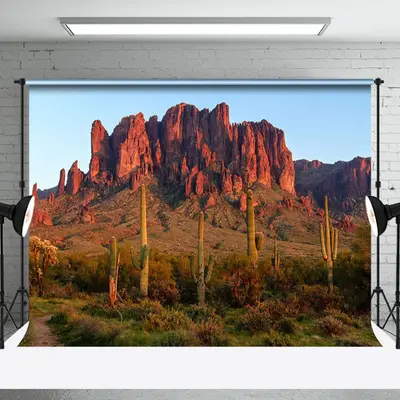 Desert Mountains Cactus Natural Scenery Backdrop - Aperturee