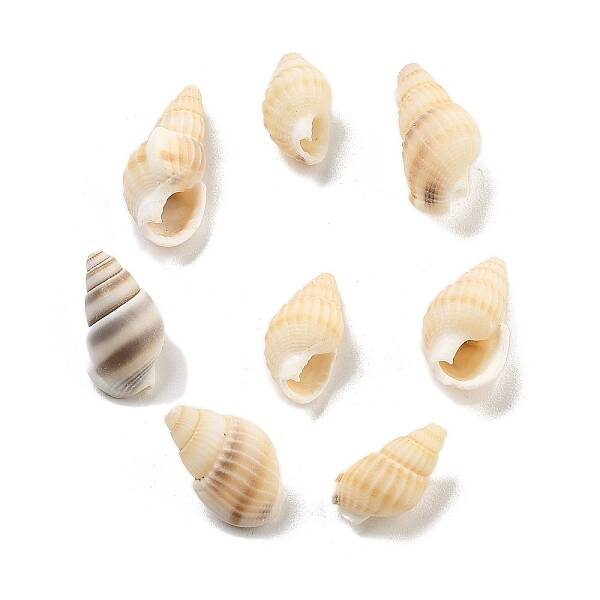 Natural Spiral Shell Beads