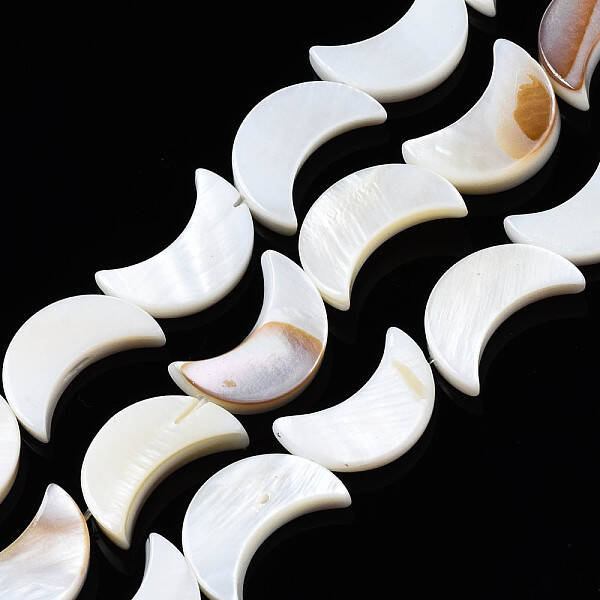 Natural Freshwater Shell Beads Strands