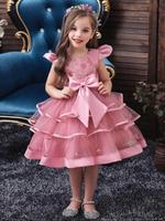 Leaf Embroidery Tulle Dress, Elegant Fashion Dress for Party, Kids Stuff for Girls, Girl Clothes, Kids Clothes for All Season...