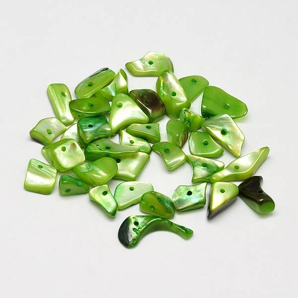 Dyed Natural Shell Nuggets Chips Beads