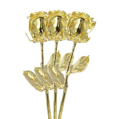 3 Past, Present, Future 11 Gold Dipped Roses