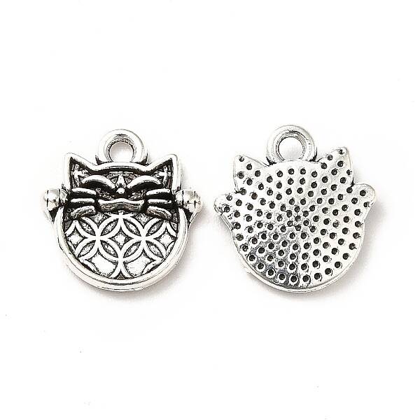 Tibetan Style Alloy Charms