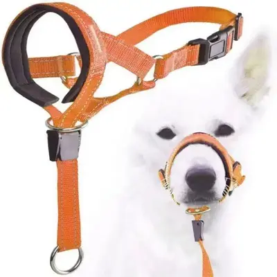 Adjustable Nylon Pet Muzzle & Leash Kit, Anti-bite Training Belt, Pet Anti-burst Muzzle, Dog & Cat Accessories