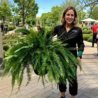 1 Set of Large Artificial Boston Ferns, Plastic Fake Greening for Outdoor Home Office, Garden Porch Barn Decor, Anniversary H...
