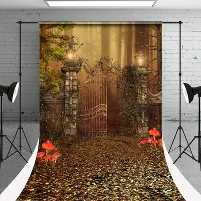 Retro Door Plant Autumn Sweep Photography Backdrop - Aperturee