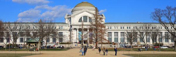 Smithsonian National Museum of Natural History: An Audio Guide