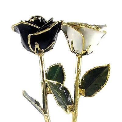 His and Her Black and White Preserved Roses