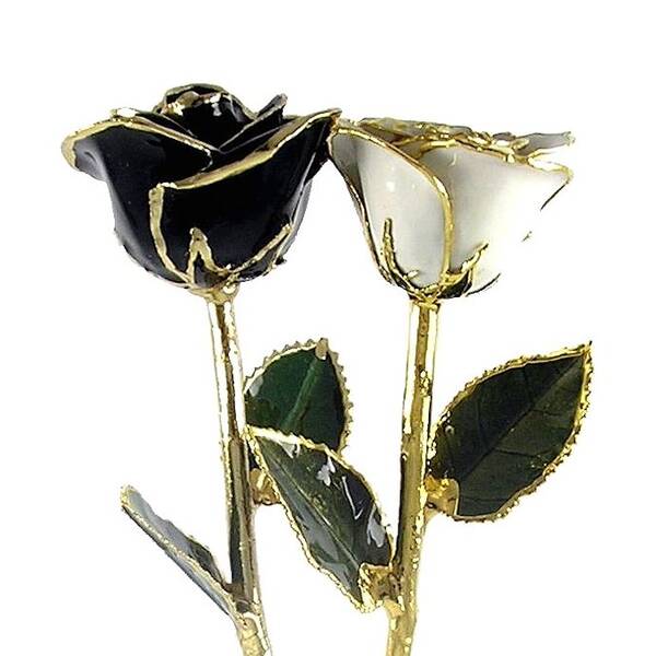 His and Her Black and White Preserved Roses