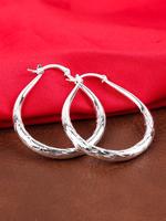 1 Pair Elegant Zinc Alloy Hoop Earrings, Water Drop Shaped Earrings for Women, Fashion Jewelry for Party, Daily Clothing Deco...