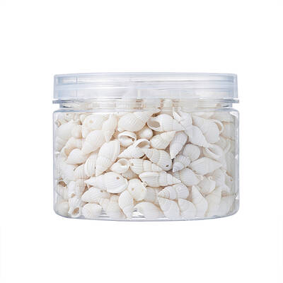 Natural Trumpet Shell Beads