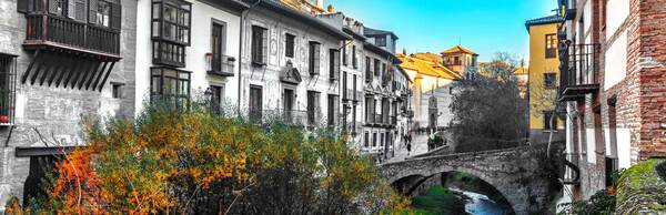Granada cautivadora: un paseo a pie por el casco histórico y el Albaicín bajo