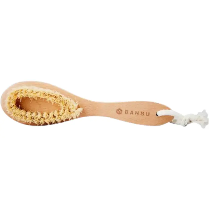 Banbu Lint Brush