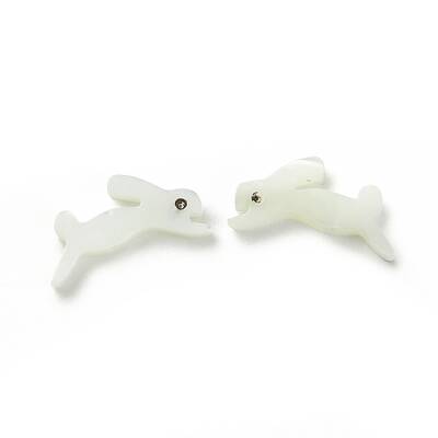 Natural Trochid Shell/Trochus Shell Beads