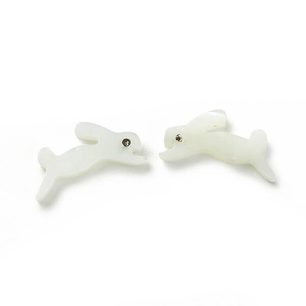 Natural Trochid Shell/Trochus Shell Beads