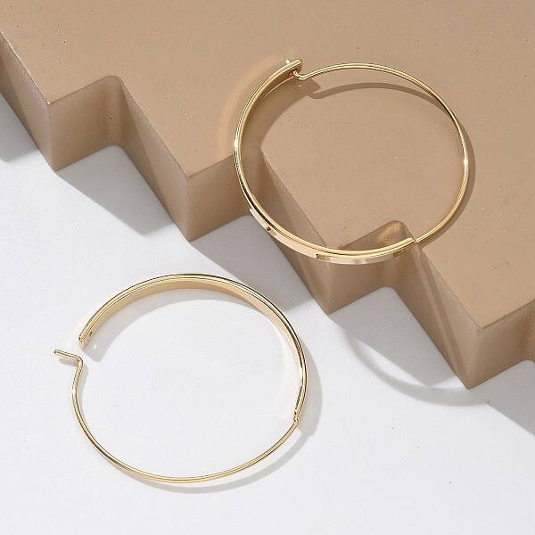 304 Stainless Steel Ring Hoop Earrings for Women