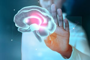 Introduction to Neurology