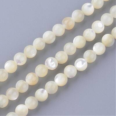 Natural Sea Shell Beads Strands