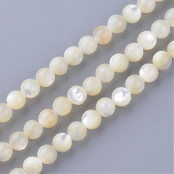 Natural Sea Shell Beads Strands