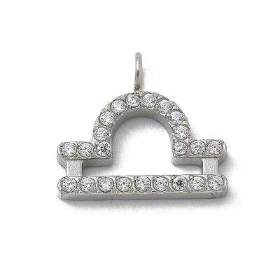 304 Stainless Steel Micro Pave Cubic Zirconia Charms
