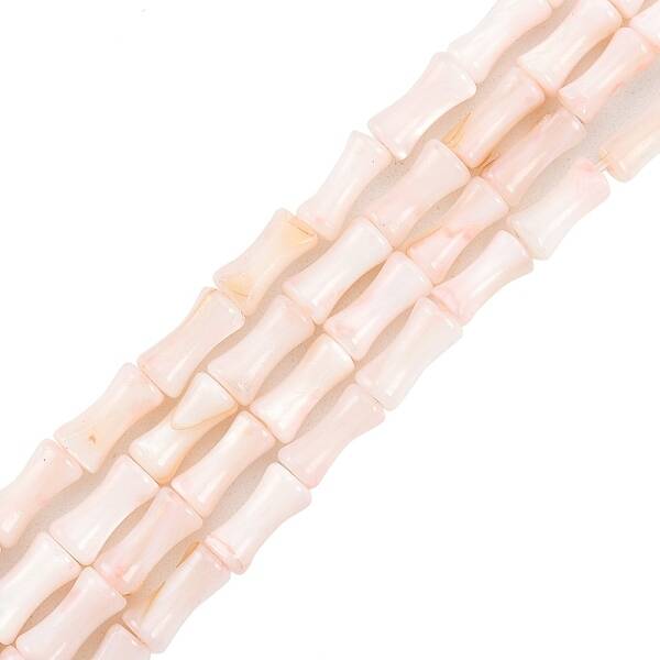 Natural Freshwater Shell Beads Strands
