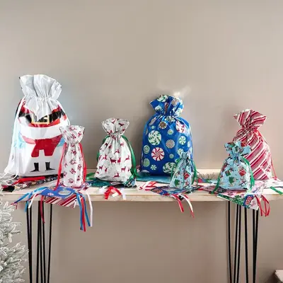 Kringle Express 50-Piece Gift Bags & Tags Set